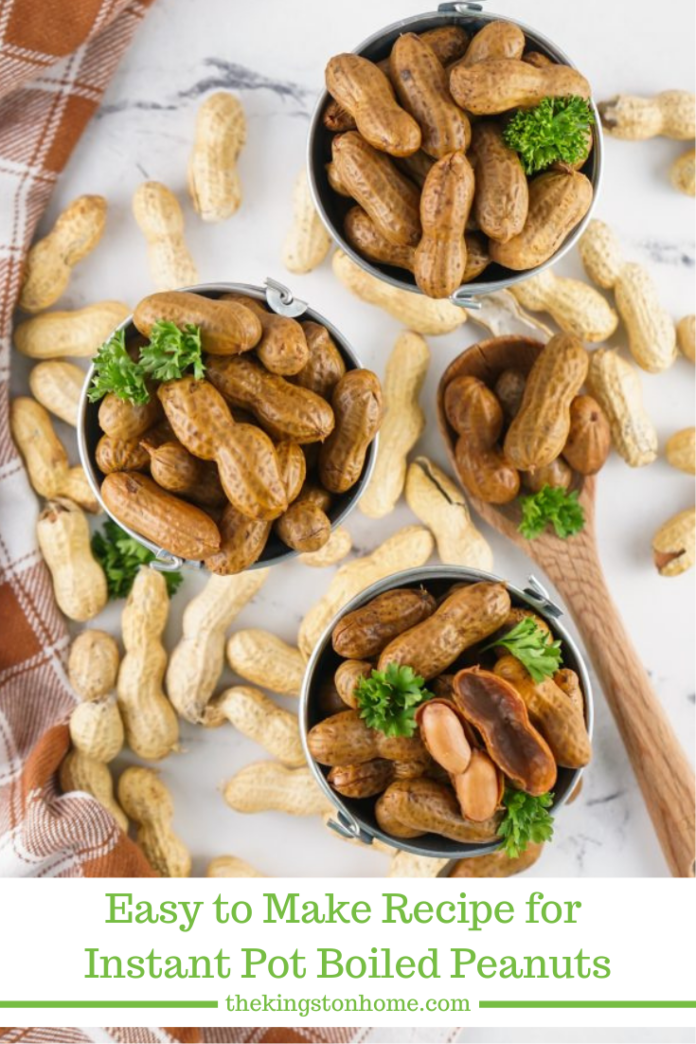 Easy to Make Recipe for Instant Pot Boiled Peanuts - The Kingston Home