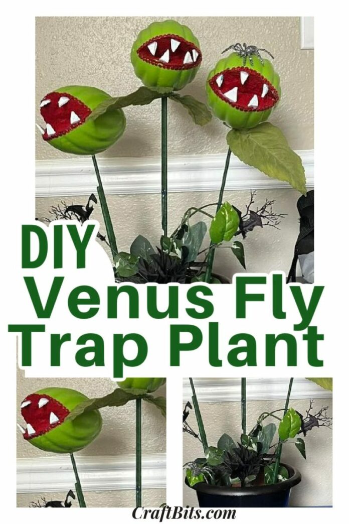 How To Make a Venus Fly Trap Plant — CraftBits.com