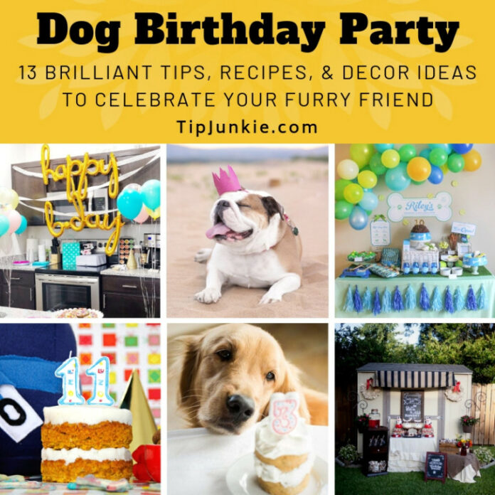 Dog Birthday Party