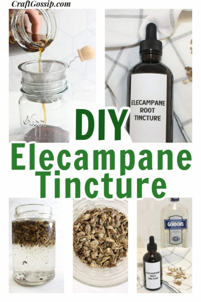 Creating Your Own Elecampane Root Tincture — CraftBits.com