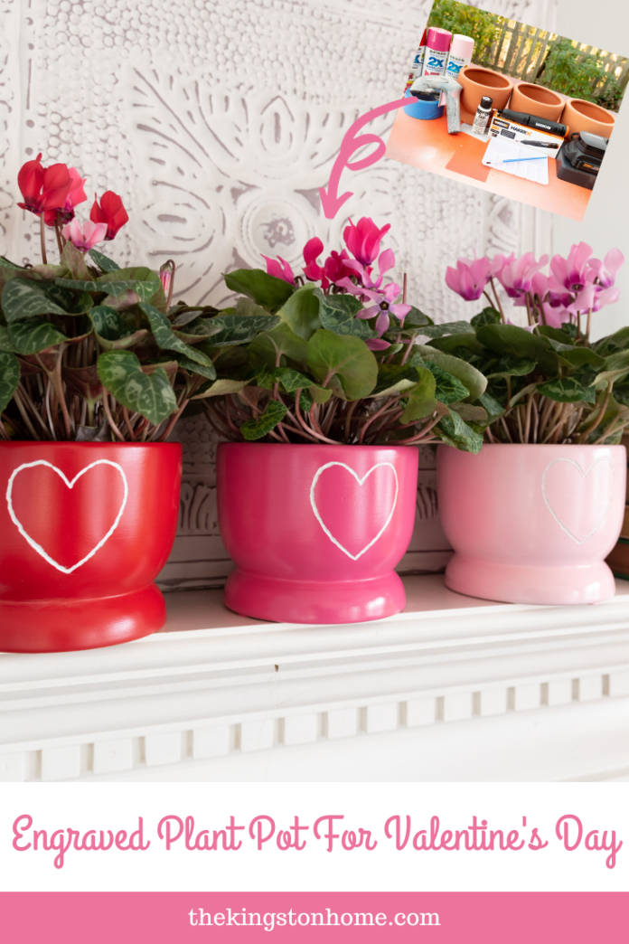 Engraved Plant Pot For Valentine