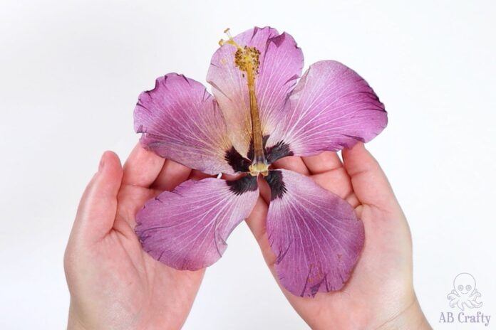 lifting the pad and cloth on the microfleur flower press