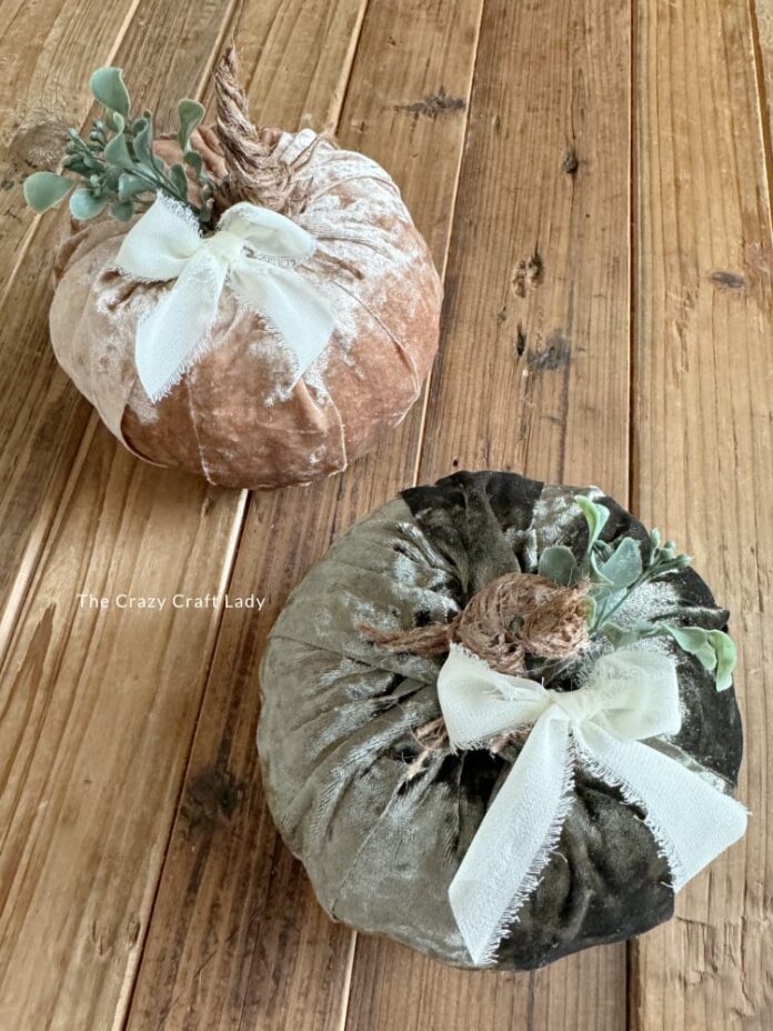 DIY Velvet Pumpkins - The Crazy Craft Lady